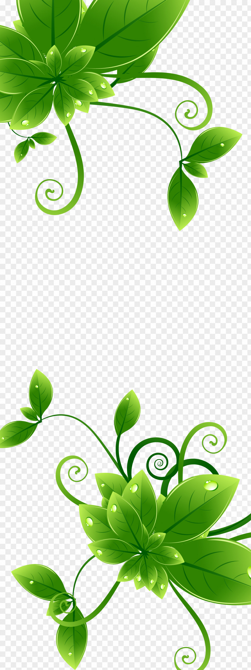 Green Background Clip Art PNG