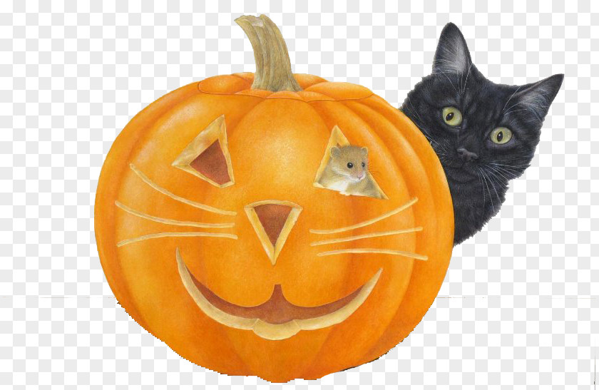 Halloween Pumpkin Black Cat Jack-o'-lantern PNG