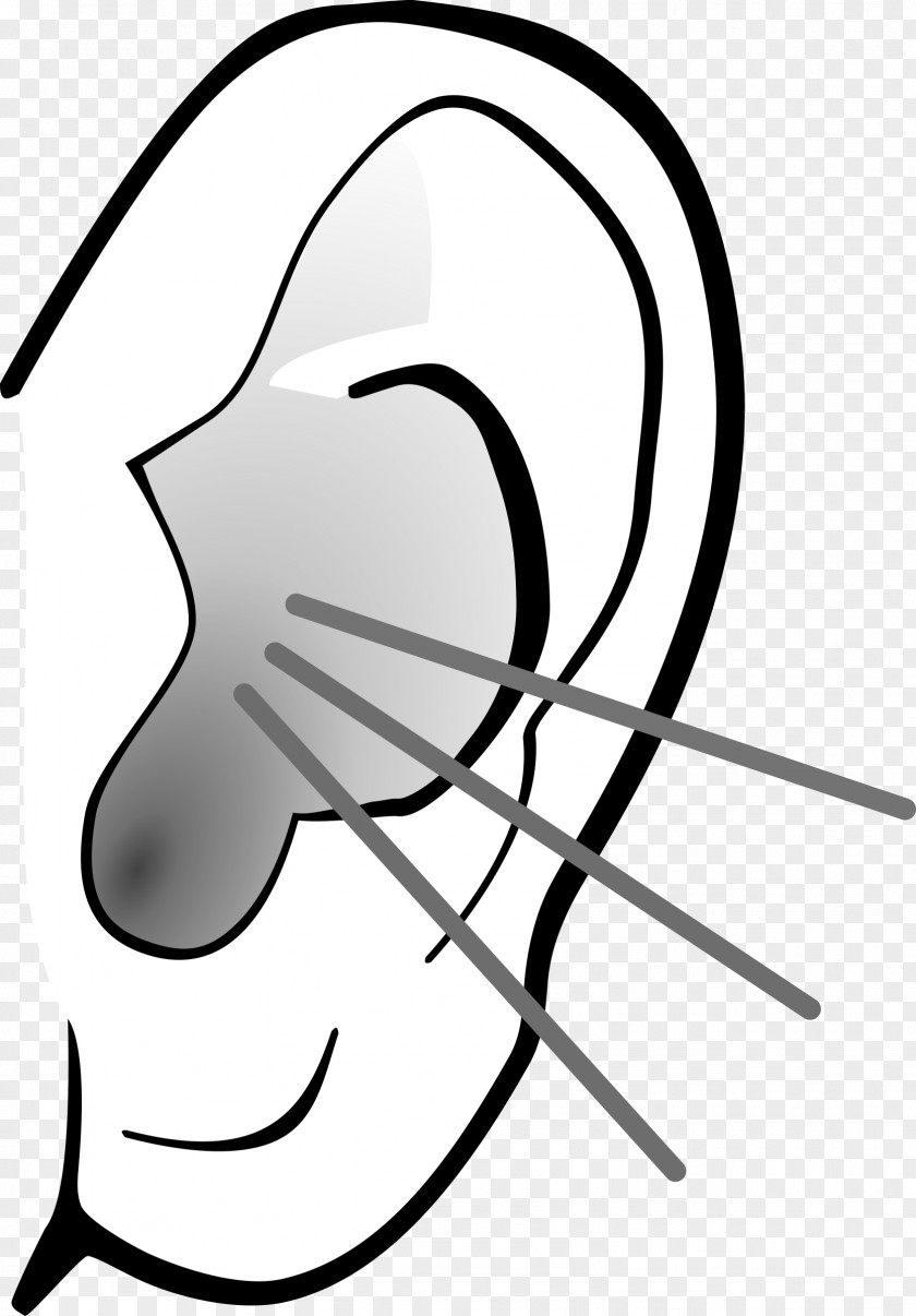 Listening Ear Image Clip Art PNG