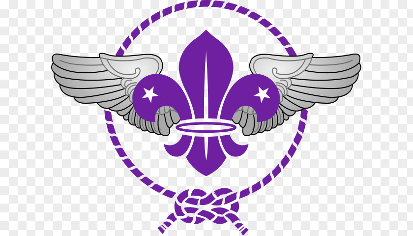 World Scout Emblem Scouting For Boys Organization Of The Movement Fleur-de-lis PNG