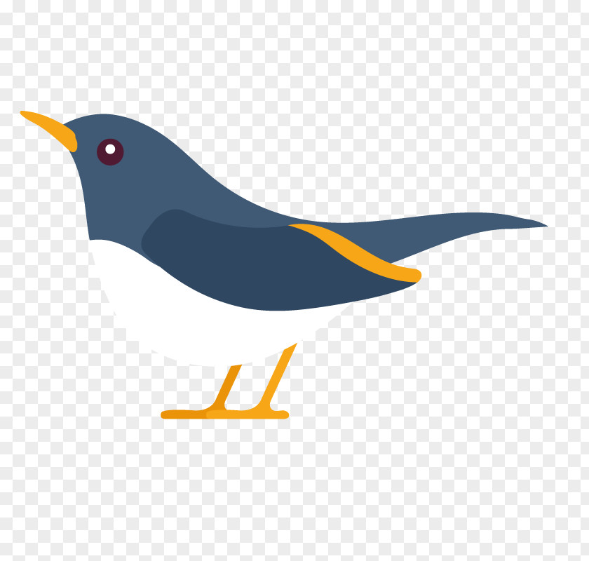 Beak Clip Art PNG