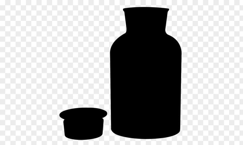 Glass Bottle Vase Product PNG