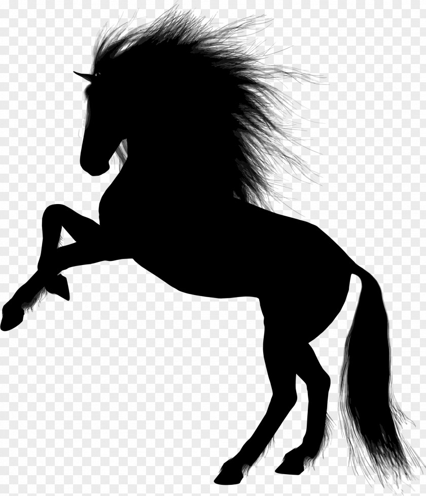 Horse Desktop Wallpaper Equestrian Clip Art PNG