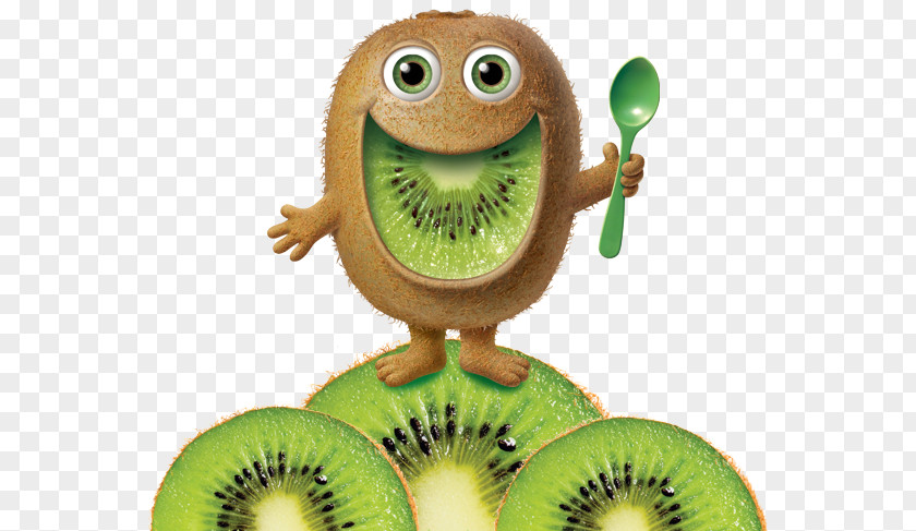 Kiwifruit Food Hardy Kiwi Clip Art PNG