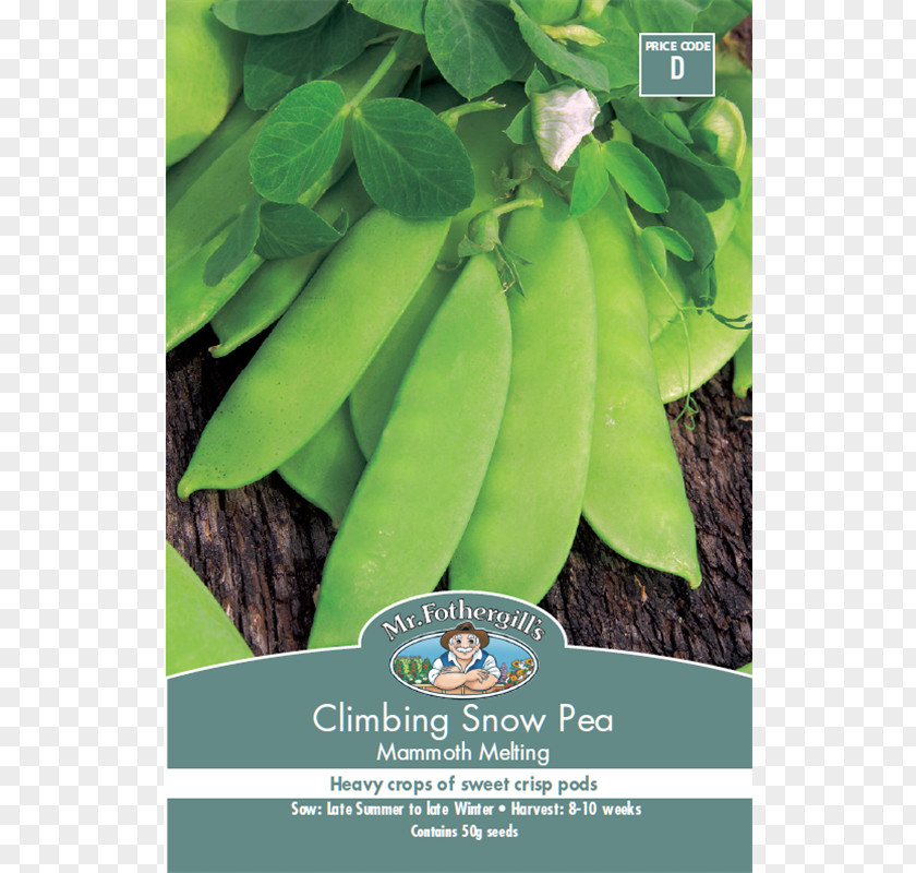 Snow Pea Mammoth Lakes Seed Vegetable PNG