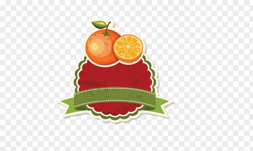 Vintage Fruit Border Orange Auglis PNG