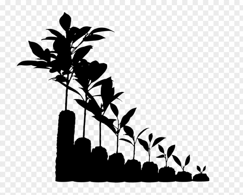 M Clip Art Flower Plant Stem Twig Black & White PNG