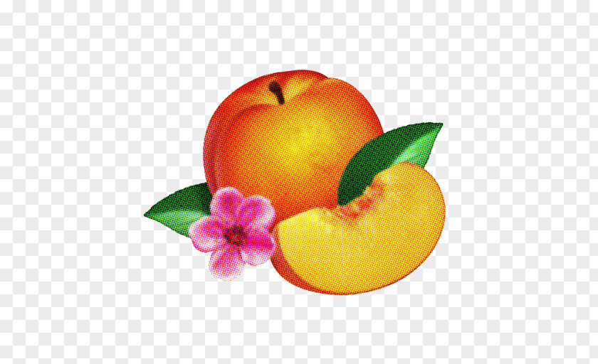 Peach Wolfgang Amadeus Phoenix Bankrupt! United Ti Amo PNG