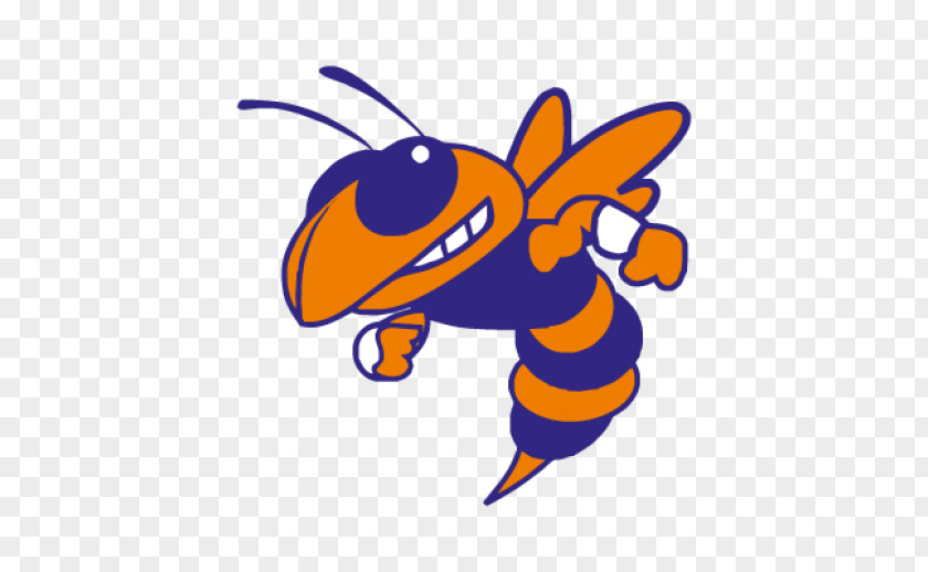 Yellow Jacket Bartow High School St Augustine National Secondary Middle PNG