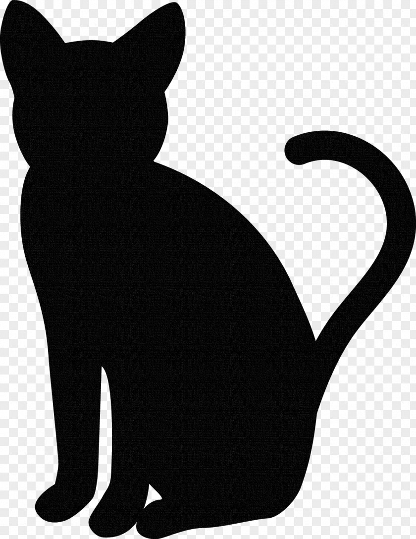 Black Cat Silhouette Whiskers PNG