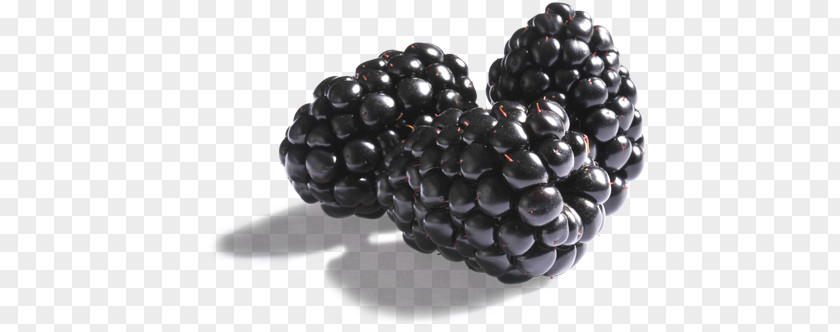 Blackberry Boysenberry BlackBerry Pearl Raspberry PNG