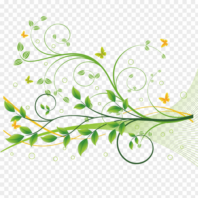Branches And Lines Flower Green Floral Design PNG