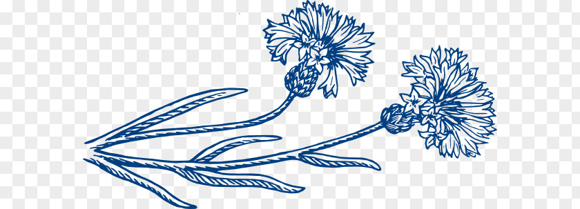 Cornflower Clip Art PNG