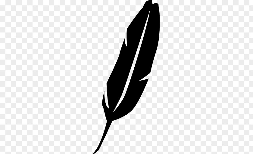Feather Logo Design PNG
