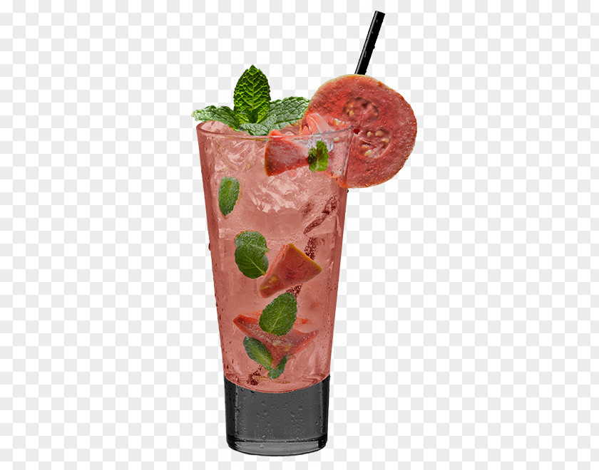 Mojito Cocktail Garnish Strawberry Sea Breeze PNG