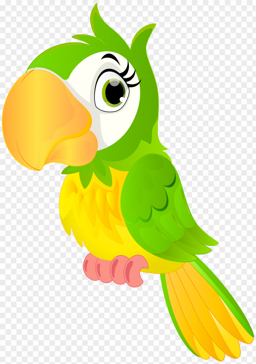 Parrot Bird Animation Cartoon Clip Art PNG