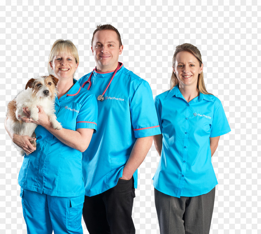 Practice Village Marnehuizen Pet Veterinarian Veterinary Medicine Surgery PNG