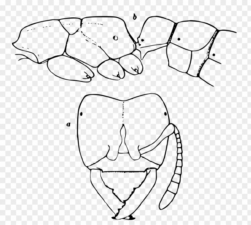 Three Wheeler Finger Line Art Mouth Sketch PNG