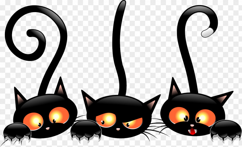 Cats Black Cat Kitten Halloween Clip Art PNG