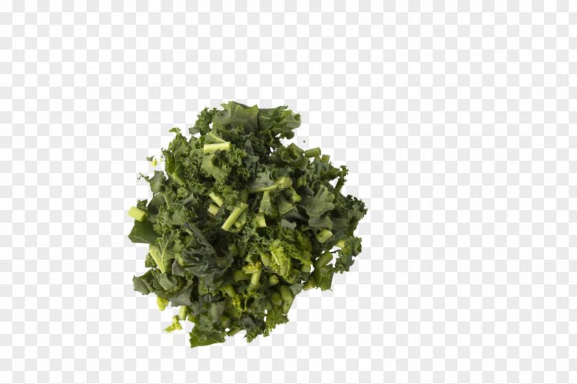 Kale Leaf Vegetable Herb PNG