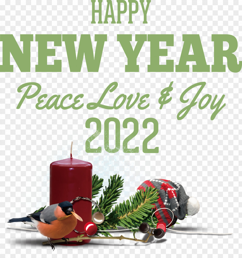 New Year 2022 Happy New Year 2022 PNG