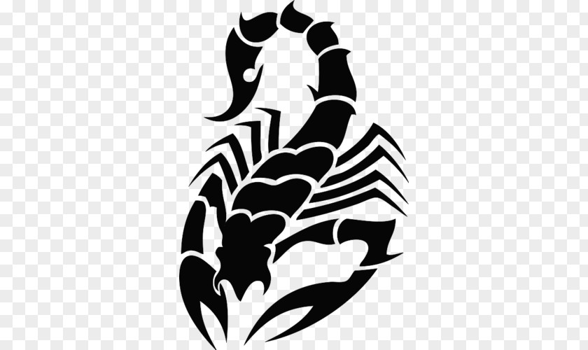 Scorpion Tattoo Artist Flash PNG