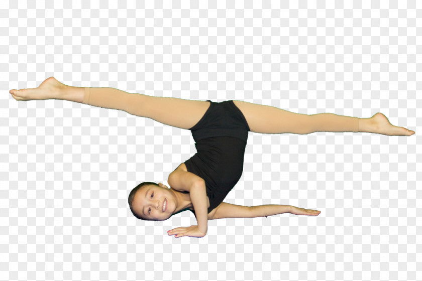 Acro Workshop Dance Acrobatics Thigh Flexibility PNG dance Flexibility, Gym Standee clipart PNG