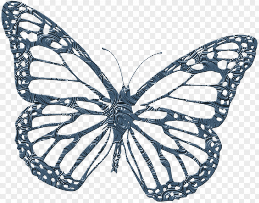 Butterfly Monarch Coloring Book PNG