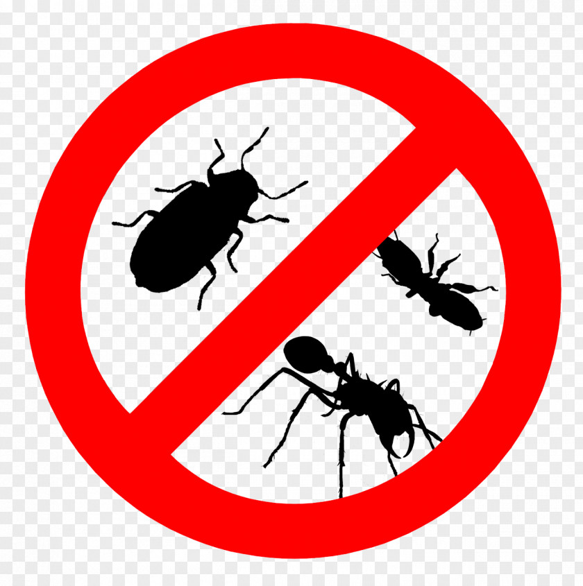 Cockroach Pest Control Bed Bug Termite PNG