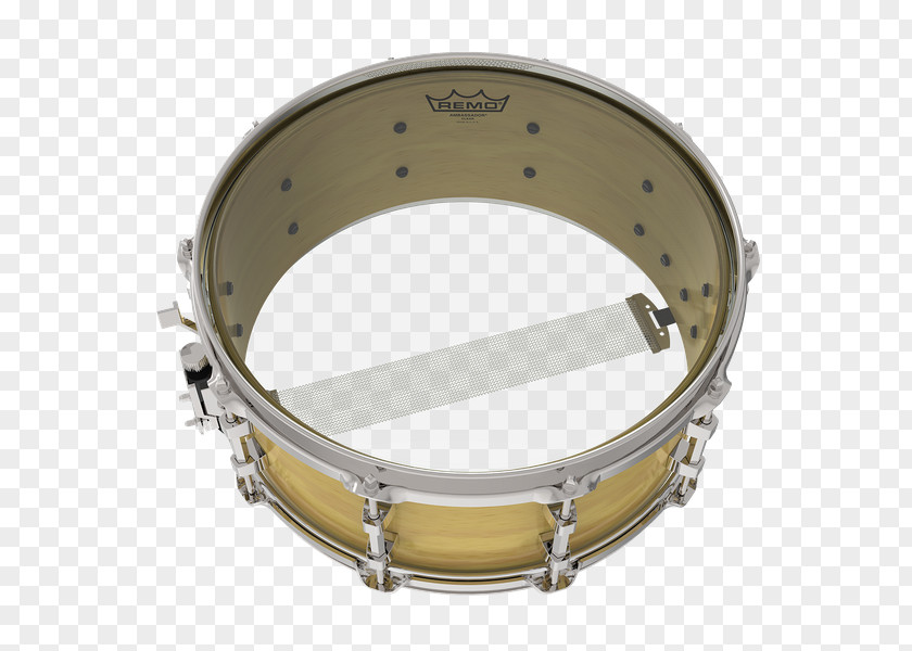 Drum Remo Drumhead Snare Drums Sound PNG