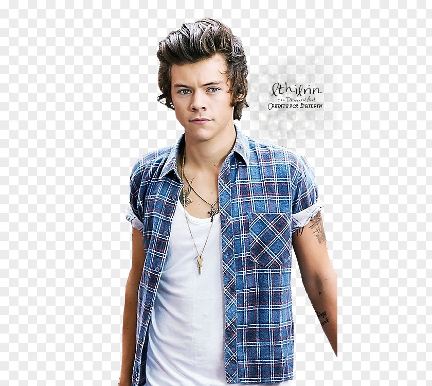 Harry Styles Styles: Live On Tour One Direction Photography PNG