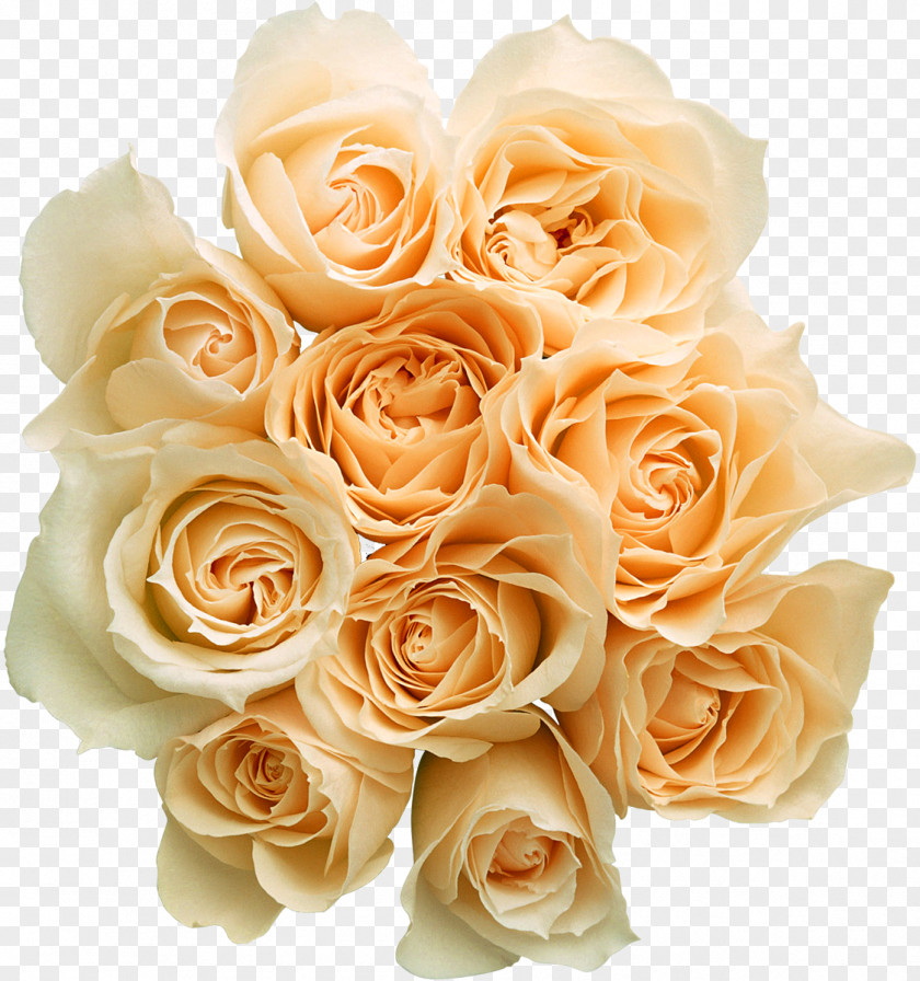 Rose Flower Bouquet Garden Roses PNG