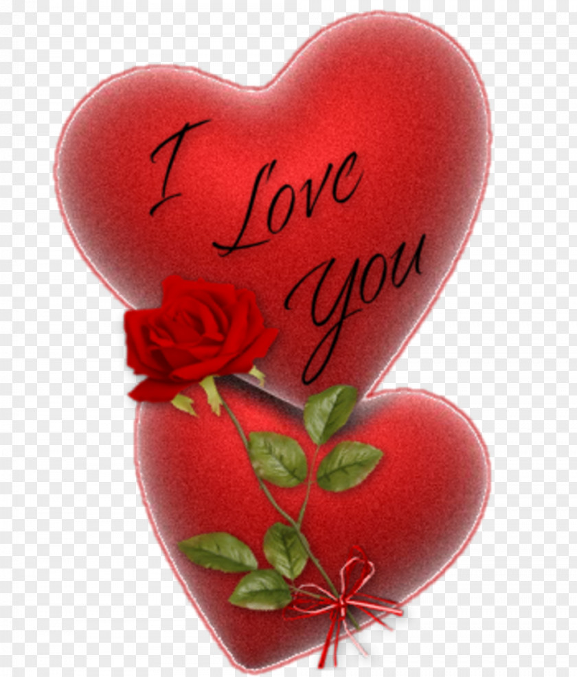 Valentine's Day Love Heart Symbol Red PNG