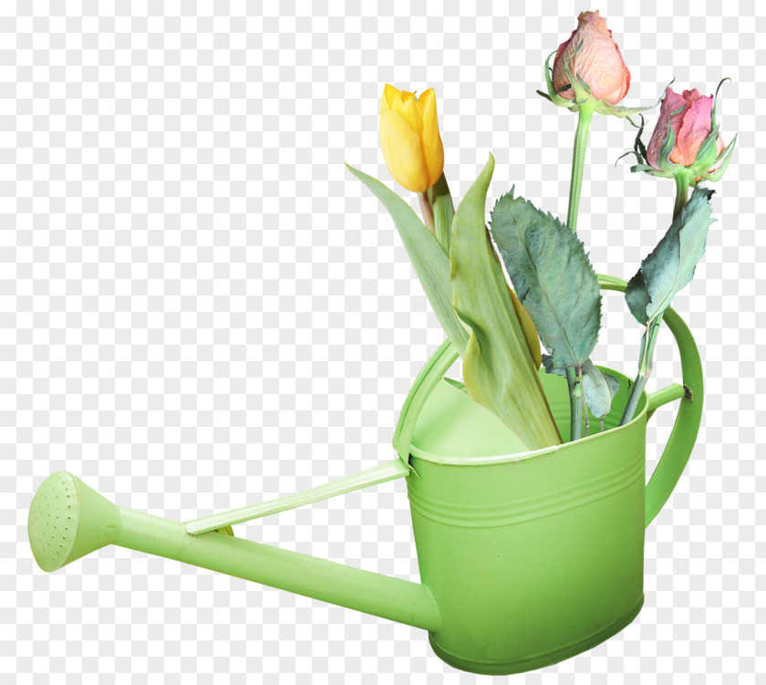 Watering Cans Garden Flowerpot Clip Art PNG