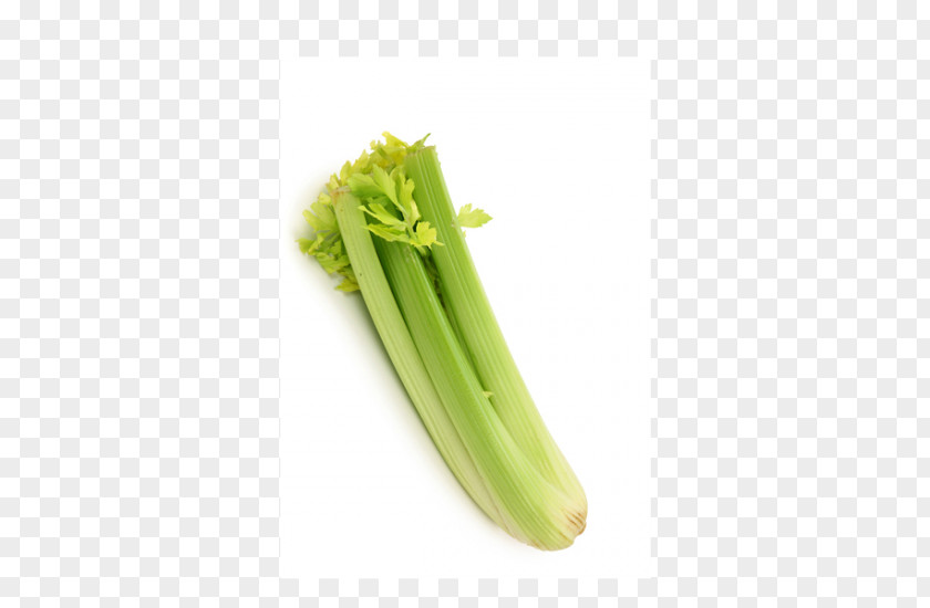 Milk Vegetarian Cuisine Scallion Vegetable Celery PNG