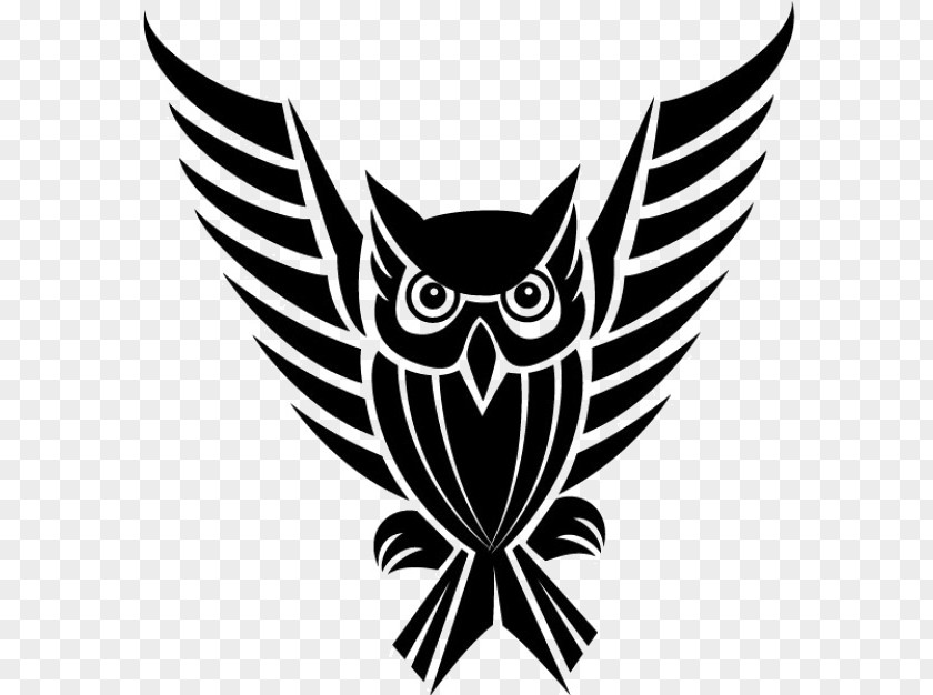 Owl Bird Drawing Clip Art PNG