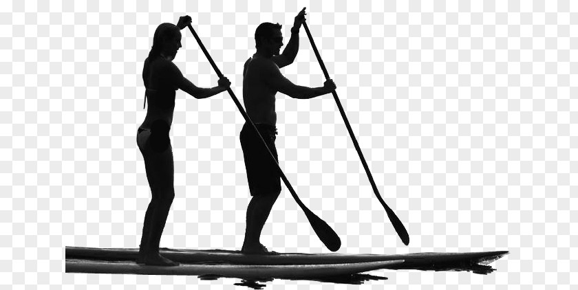 Paddle Standup Paddleboarding Surfing Clip Art PNG