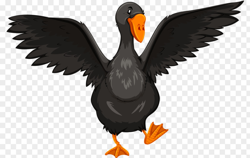 Black Duck Goose Illustration PNG