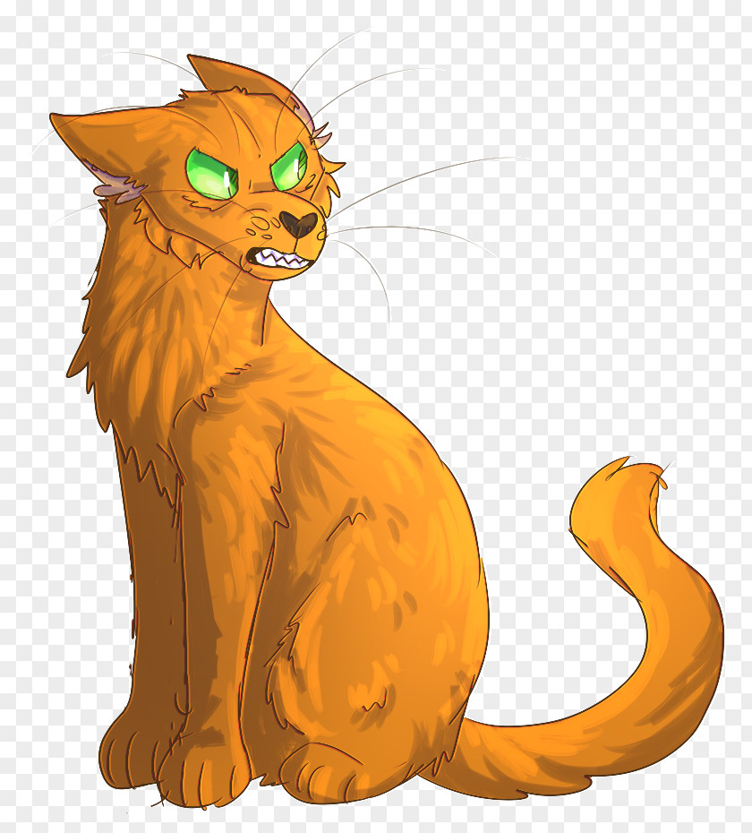 Kitten Whiskers Tabby Cat Lion PNG