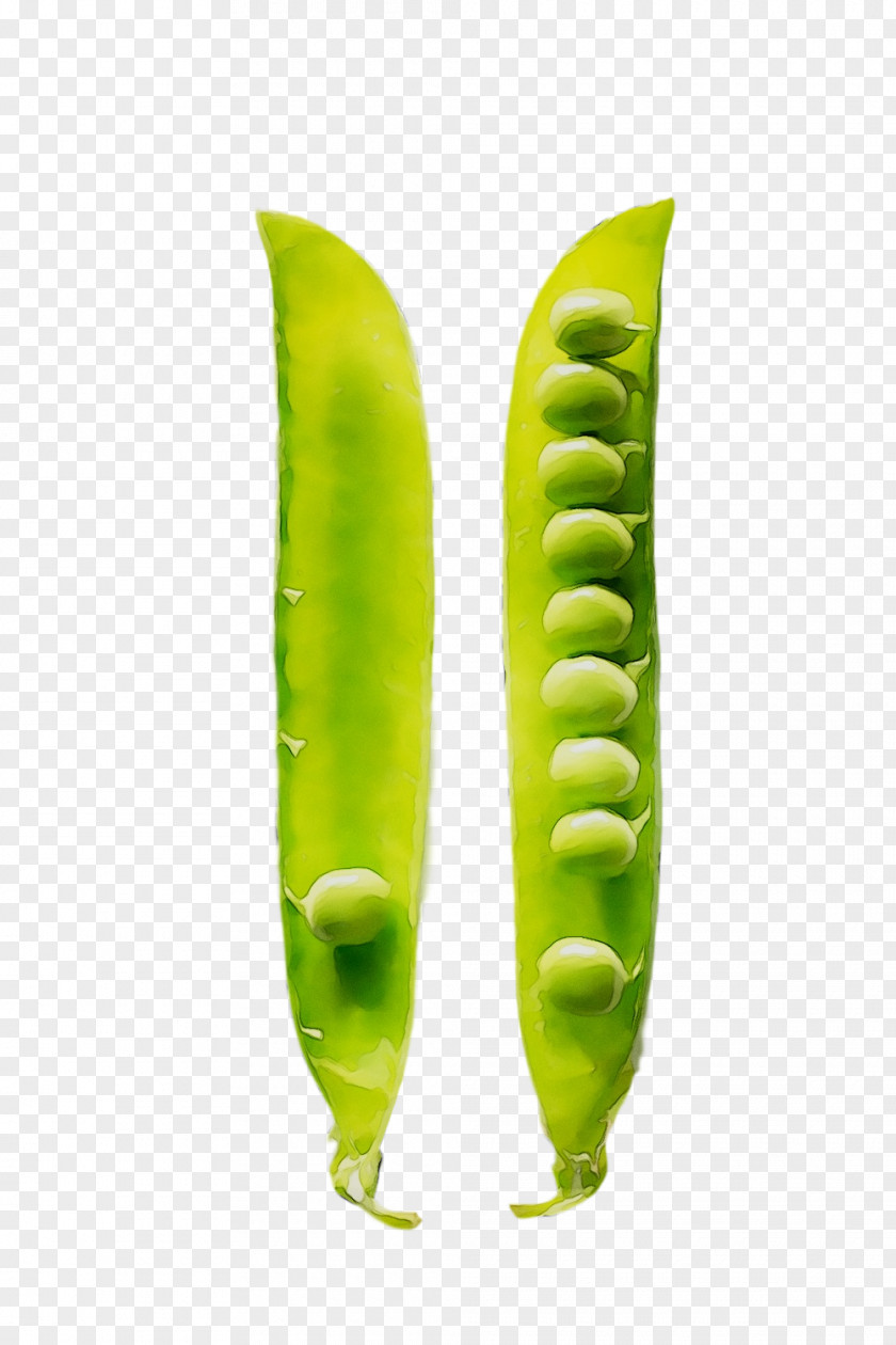 Legume Commodity Vegetable Product Design PNG