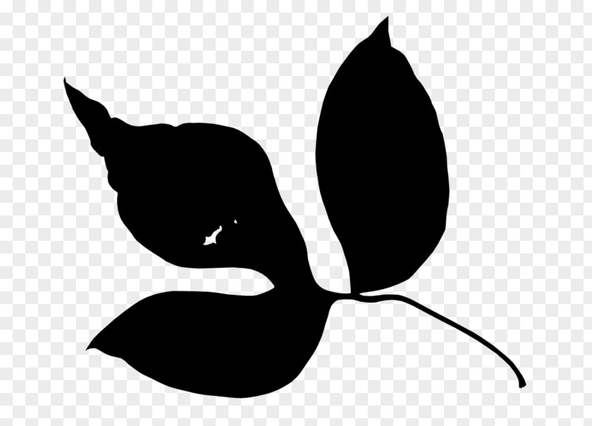 M Clip Art Bird Flower Cat Black & White PNG