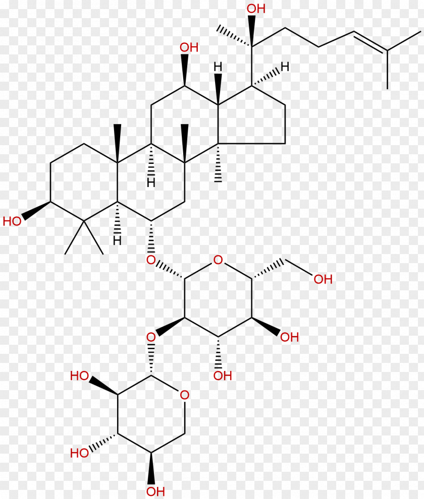 Phytochemicals Ginsenoside Saponin Chinese Herbology Panax Notoginseng Pharmacology PNG