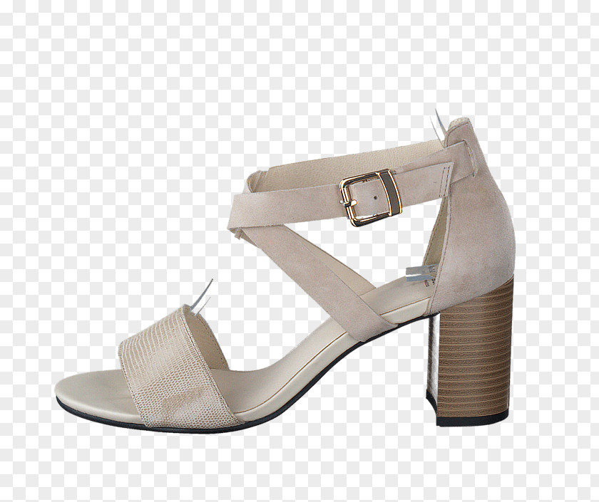 Sandal Shoe Walking PNG