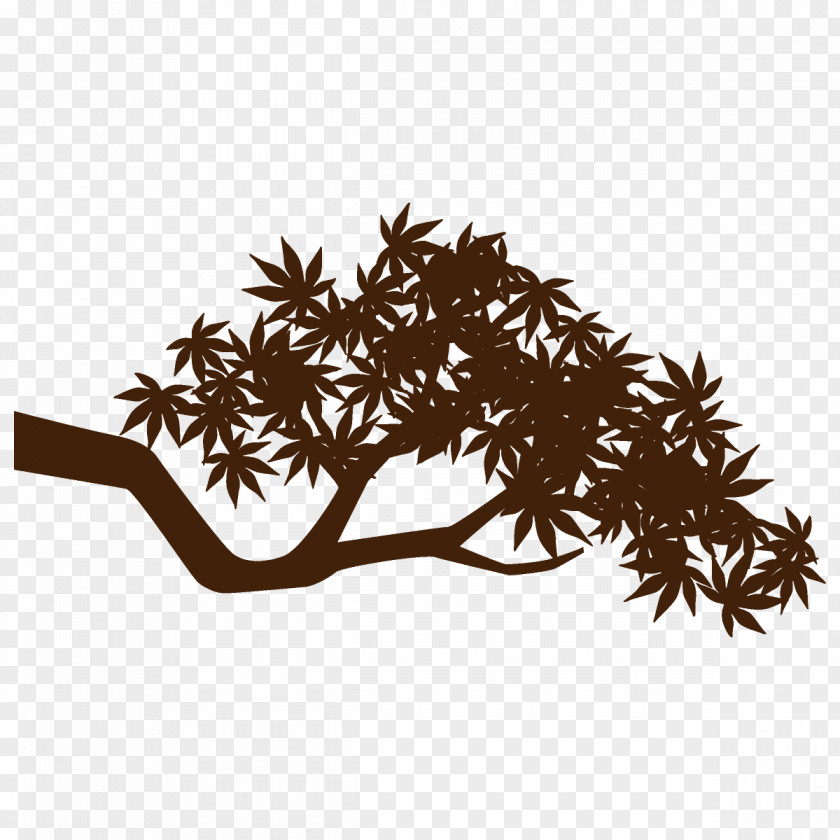 Twig Plane Maple Branch Leaves Autumn Tree PNG
