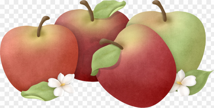 Apple Food Fruits Et Légumes Auglis PNG