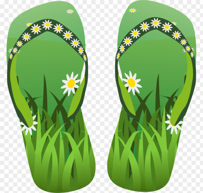 Cartoon Pictures Of Grass Flip-flops Clip Art PNG