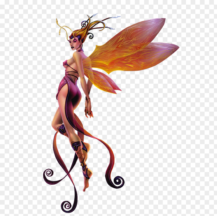 Fairy Elf Fantasy PNG