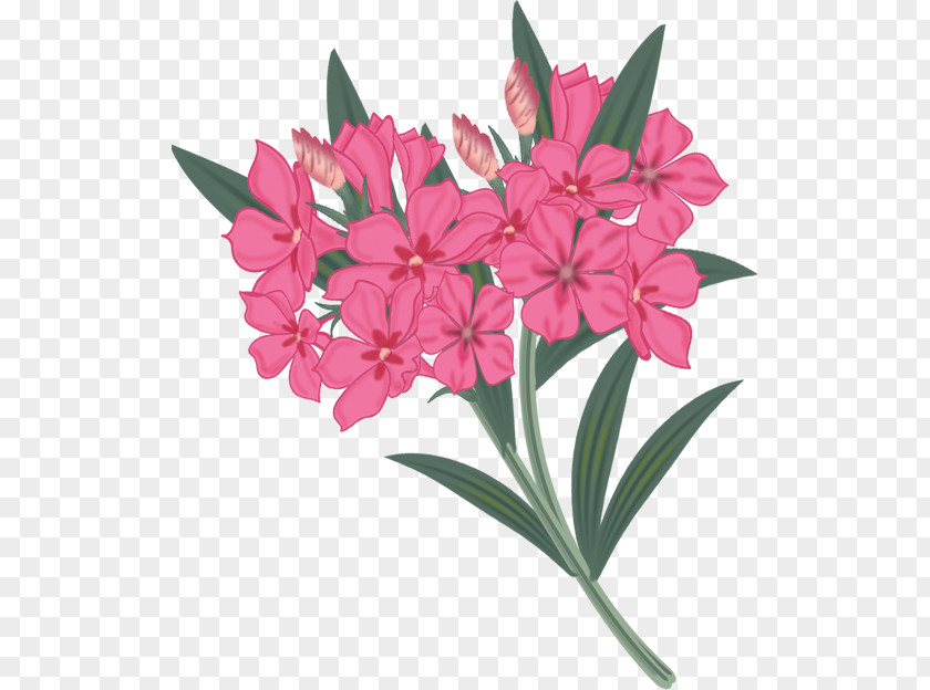 Paint Smudge Flower Painting Drawing PNG