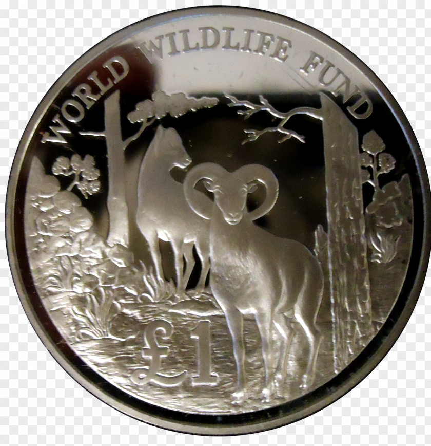 Silver Coin Money Medal Currency PNG
