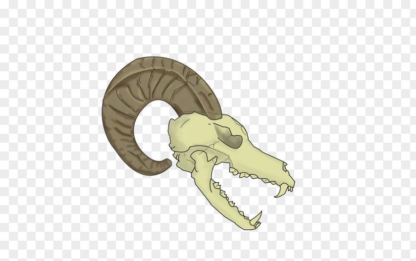 Skeleton Reptile Jaw Cartoon PNG